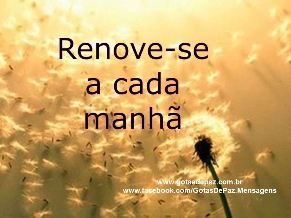 Renoveseacadamanha