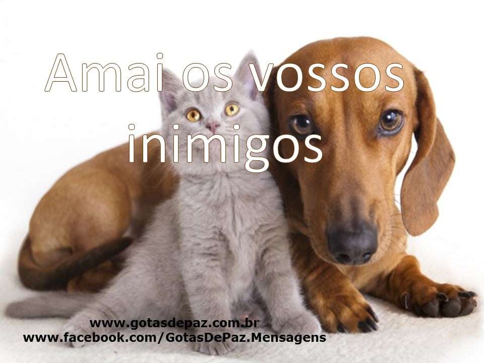 Amaiosvossosinimigos