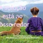 Asolucaoestaaonossoredor
