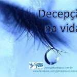 Decepcaonavida