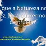 OqueaNaturezanosfezparaquerermosdestruila