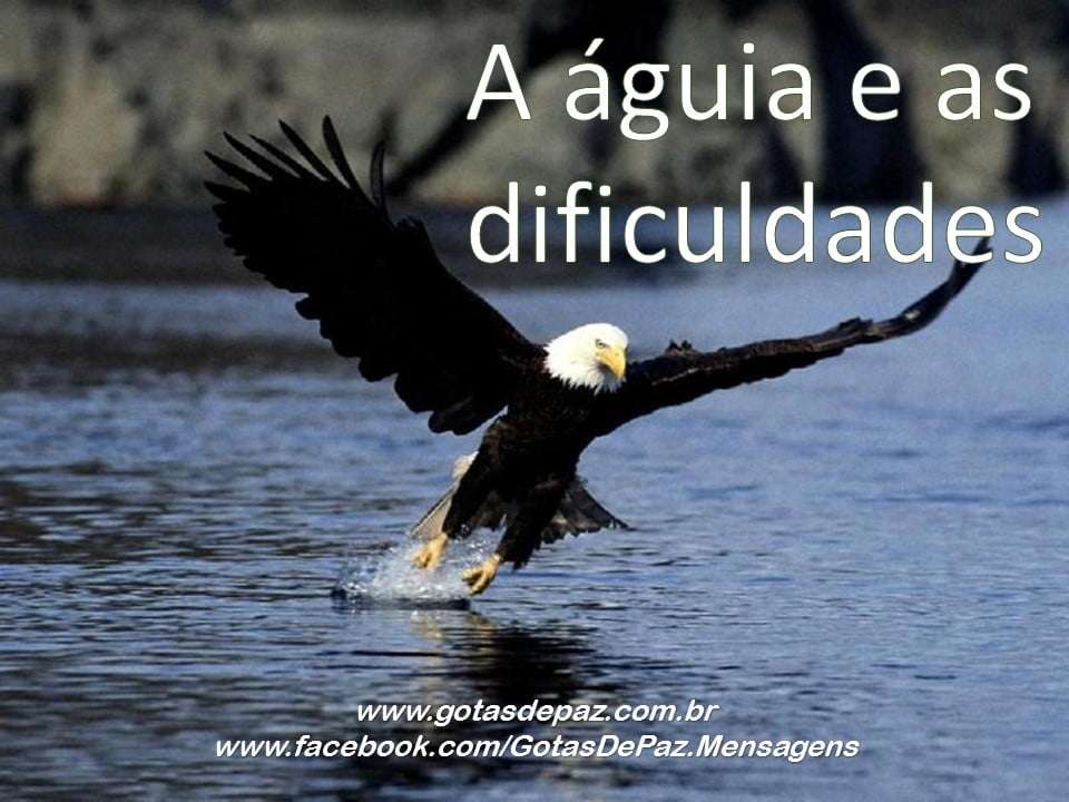 aaguiaeasdificuldades