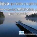 Aaguaquebeboeopaoquecomovemdanaturezaporquedestruila