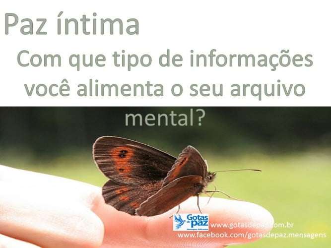 Pazintima