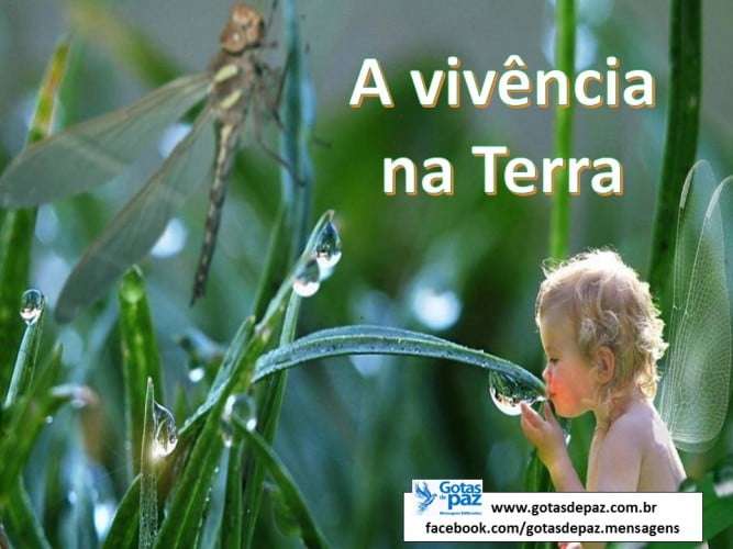 AvivencianaTerra