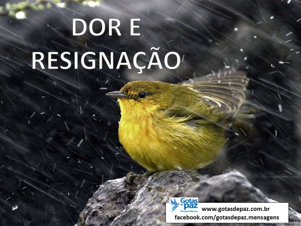 DORERESIGNACAO