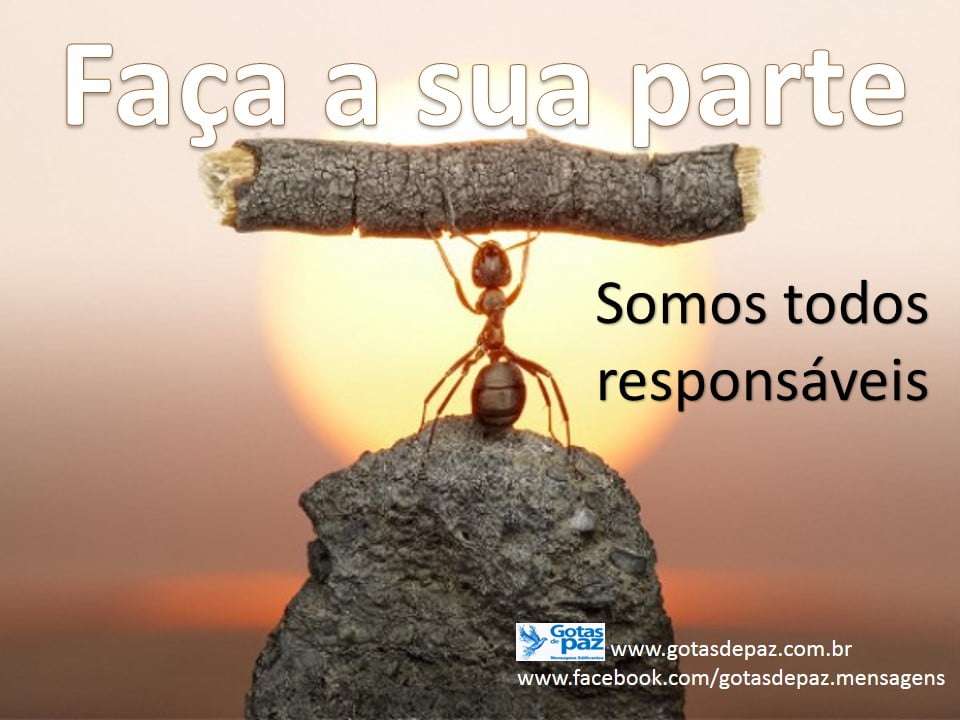 Imagem da Mensagem Imagem da Mensagem