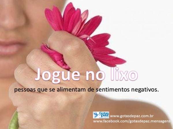 Jogue no lixo - Gotas de PazGotas de Paz