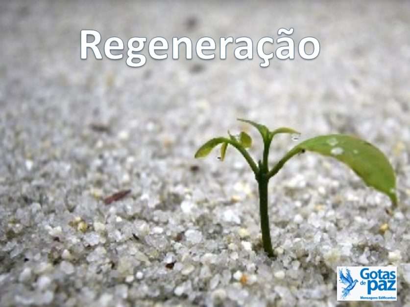 Regeneração - Gotas de PazGotas de Paz