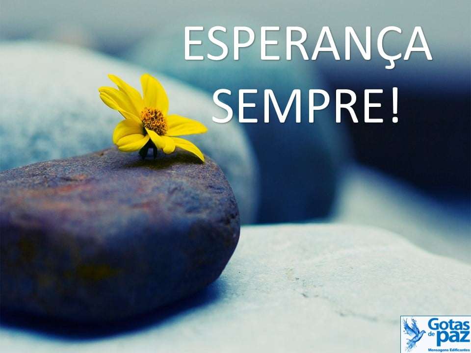 Imagem da Mensagem Imagem da Mensagem