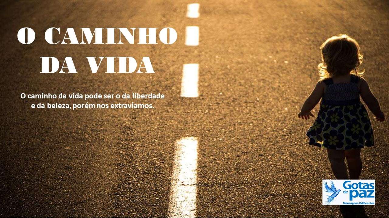 Imagem da Mensagem Imagem da Mensagem