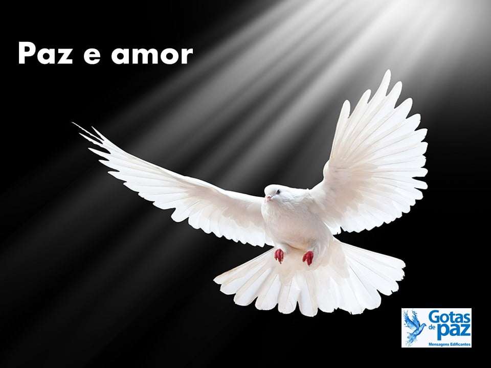 Paz e amor - Gotas de PazGotas de Paz